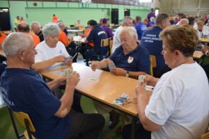 Županijski susret umirovljenika 16.06.2018 (157)